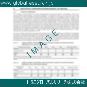 グローバルリサーチ調査資料のイメージ